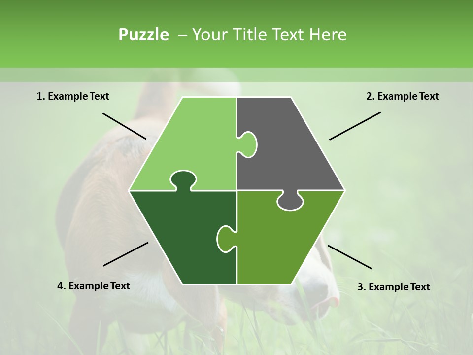 A Dog Is Running Through The Grass With A Frisbee In Its Mouth PowerPoint Template