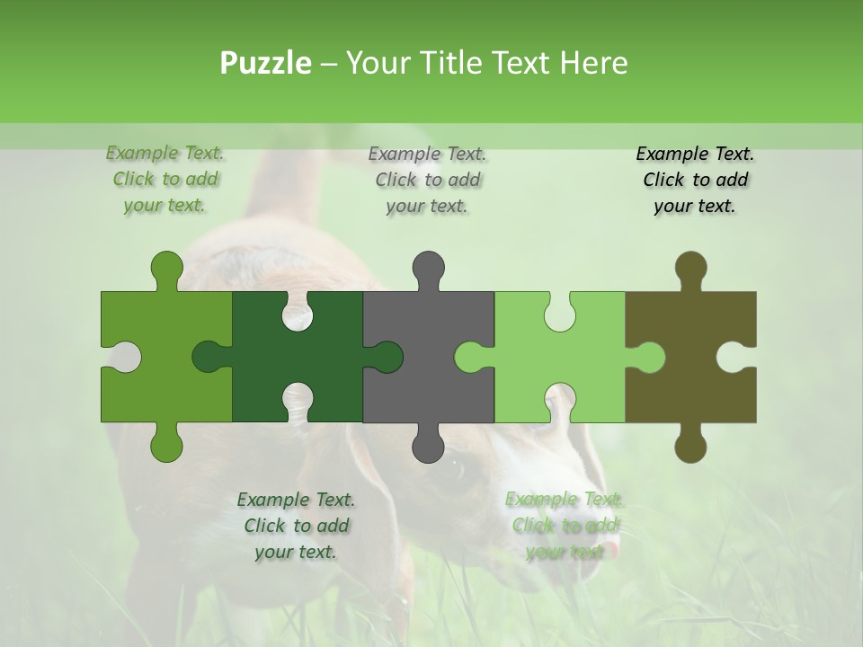 A Dog Is Running Through The Grass With A Frisbee In Its Mouth PowerPoint Template