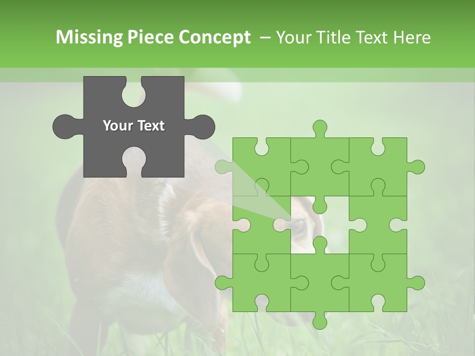 A Dog Is Running Through The Grass With A Frisbee In Its Mouth PowerPoint Template