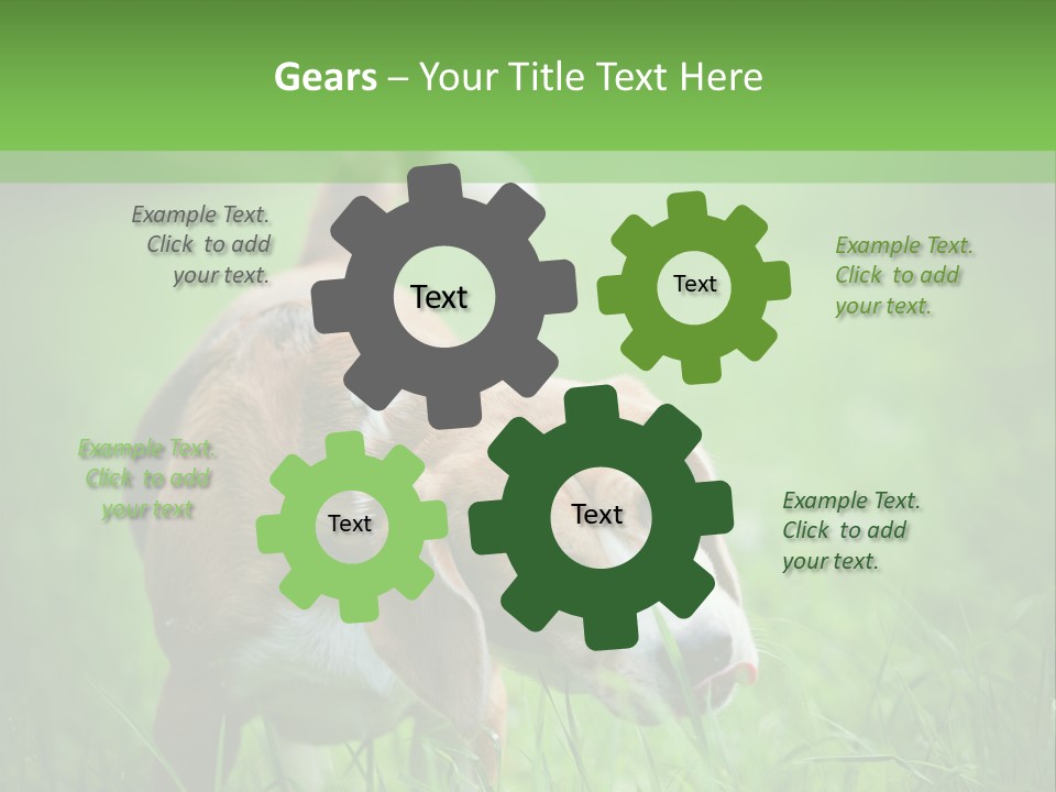 A Dog Is Running Through The Grass With A Frisbee In Its Mouth PowerPoint Template