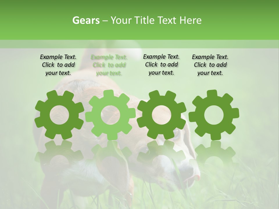 A Dog Is Running Through The Grass With A Frisbee In Its Mouth PowerPoint Template