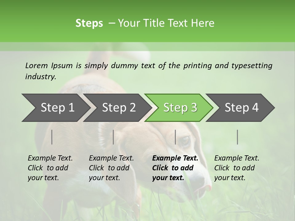 A Dog Is Running Through The Grass With A Frisbee In Its Mouth PowerPoint Template