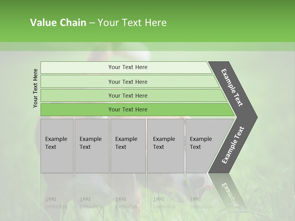 A Dog Is Running Through The Grass With A Frisbee In Its Mouth PowerPoint Template