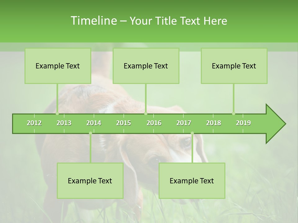 A Dog Is Running Through The Grass With A Frisbee In Its Mouth PowerPoint Template