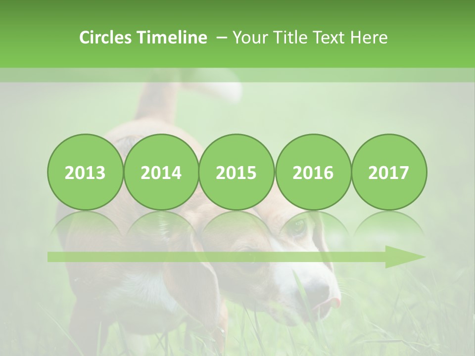 A Dog Is Running Through The Grass With A Frisbee In Its Mouth PowerPoint Template