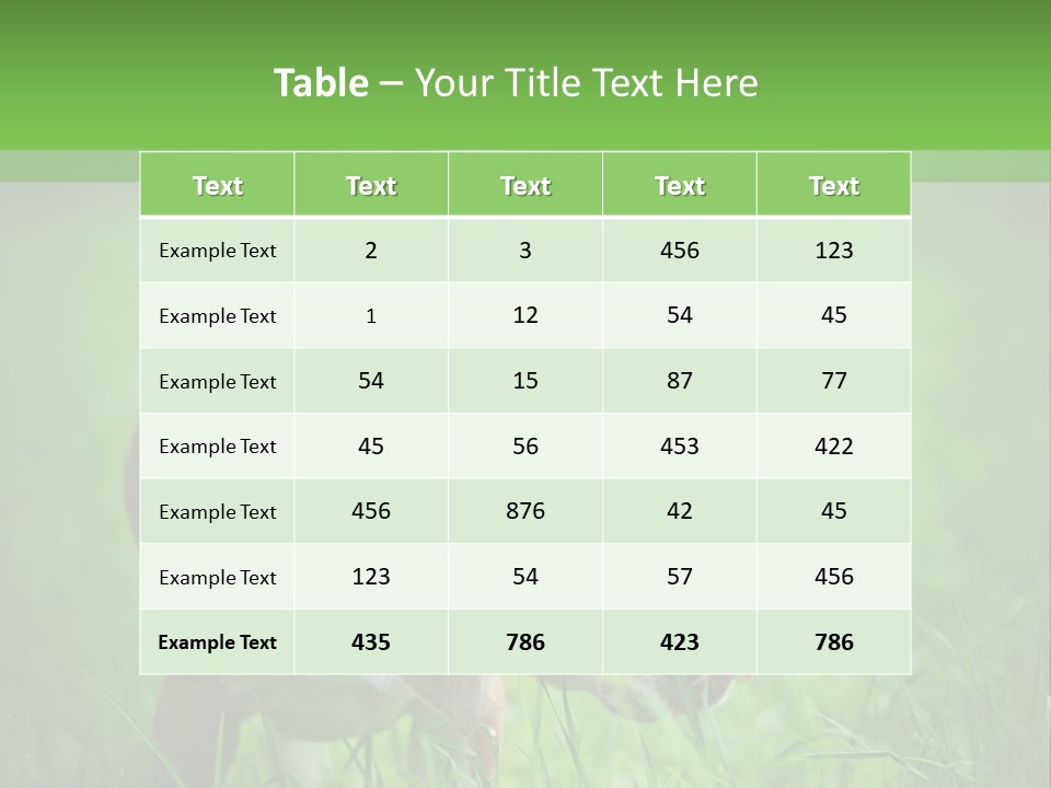 A Dog Is Running Through The Grass With A Frisbee In Its Mouth PowerPoint Template
