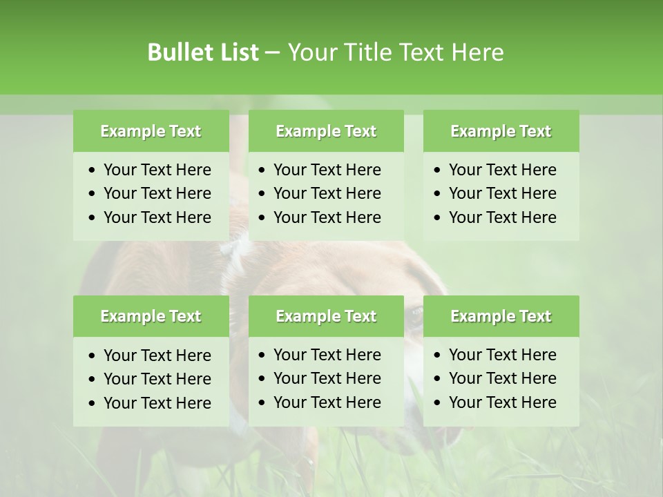 A Dog Is Running Through The Grass With A Frisbee In Its Mouth PowerPoint Template