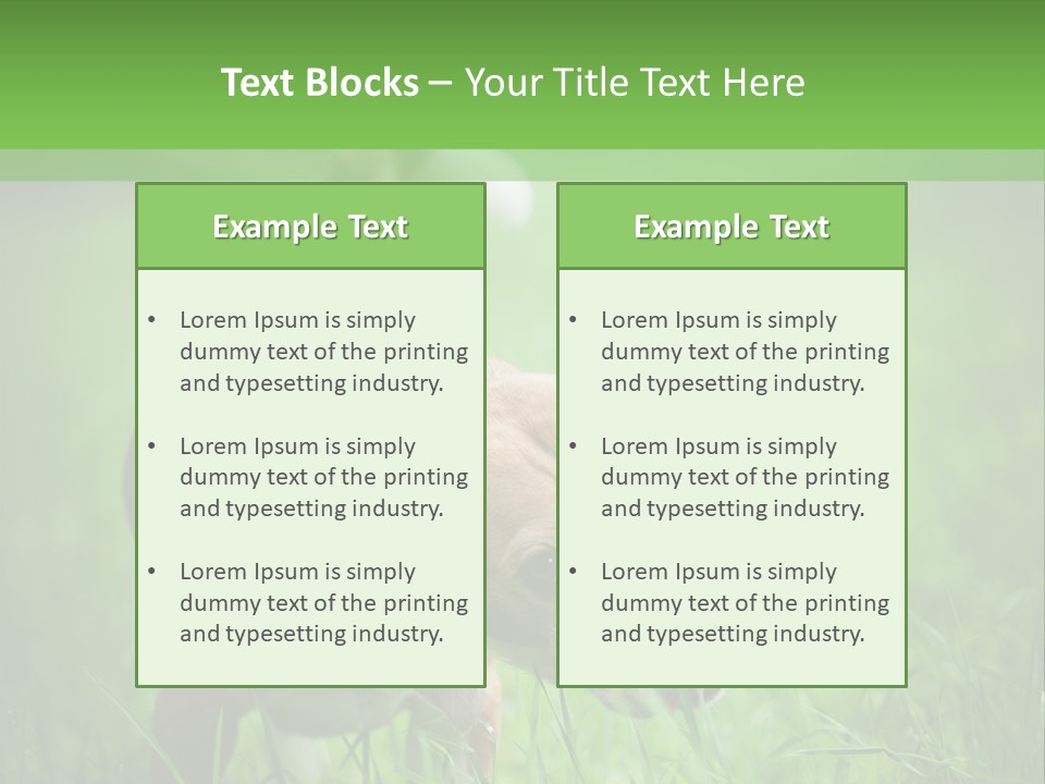 A Dog Is Running Through The Grass With A Frisbee In Its Mouth PowerPoint Template