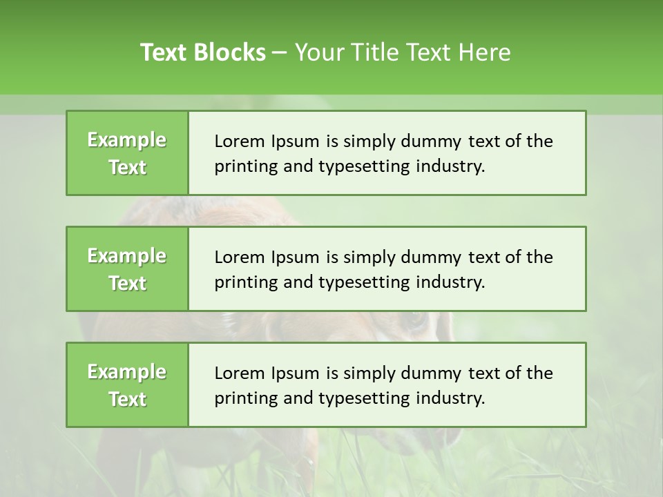 A Dog Is Running Through The Grass With A Frisbee In Its Mouth PowerPoint Template