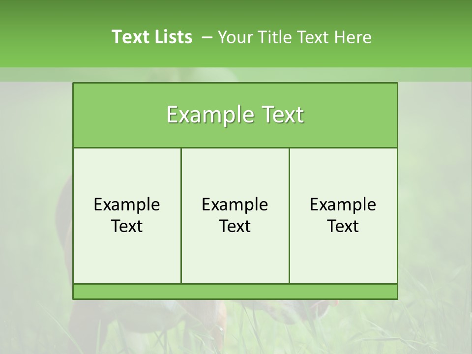 A Dog Is Running Through The Grass With A Frisbee In Its Mouth PowerPoint Template