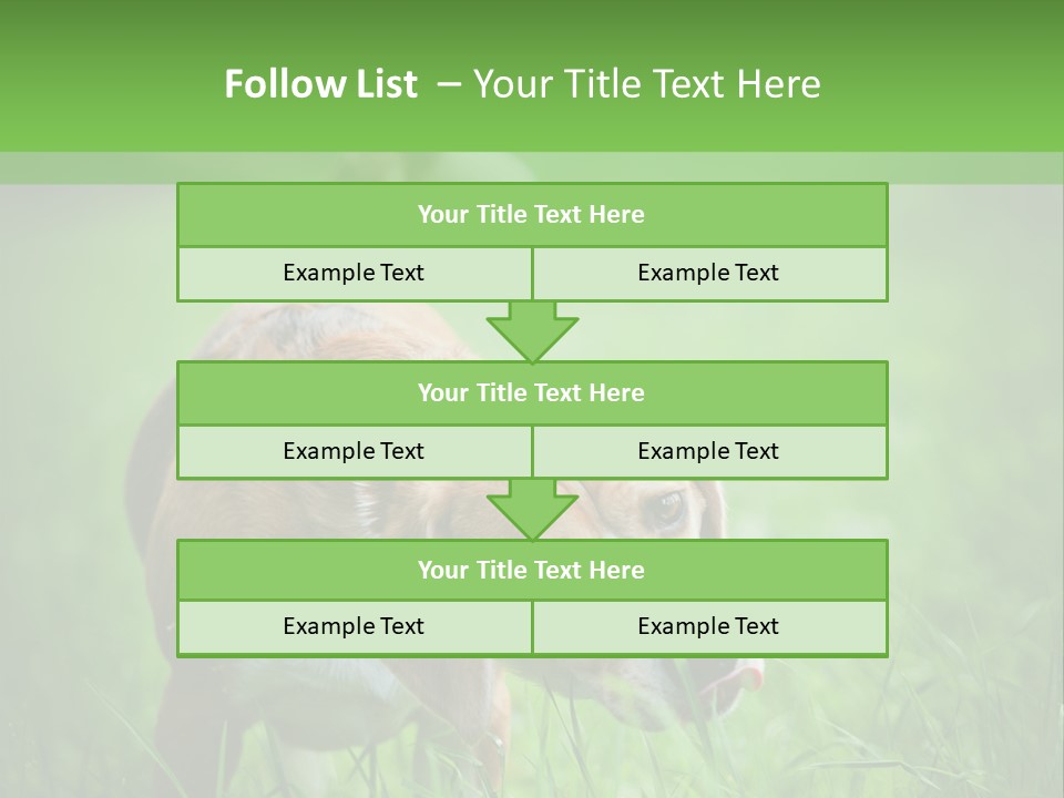 A Dog Is Running Through The Grass With A Frisbee In Its Mouth PowerPoint Template