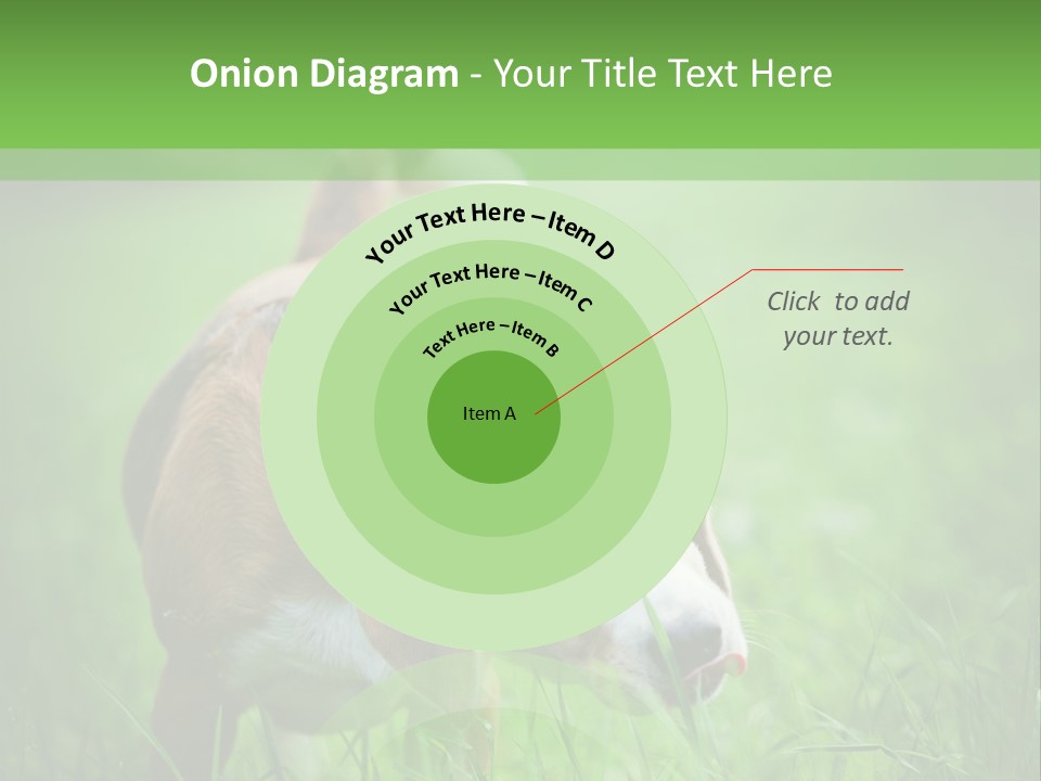 A Dog Is Running Through The Grass With A Frisbee In Its Mouth PowerPoint Template