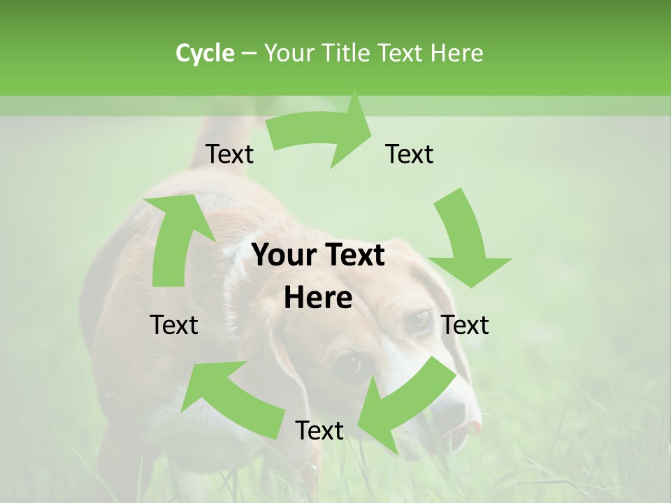 A Dog Is Running Through The Grass With A Frisbee In Its Mouth PowerPoint Template