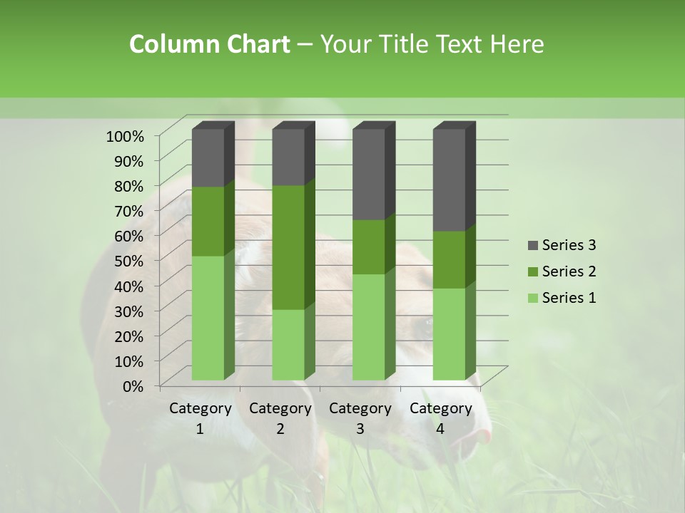 A Dog Is Running Through The Grass With A Frisbee In Its Mouth PowerPoint Template