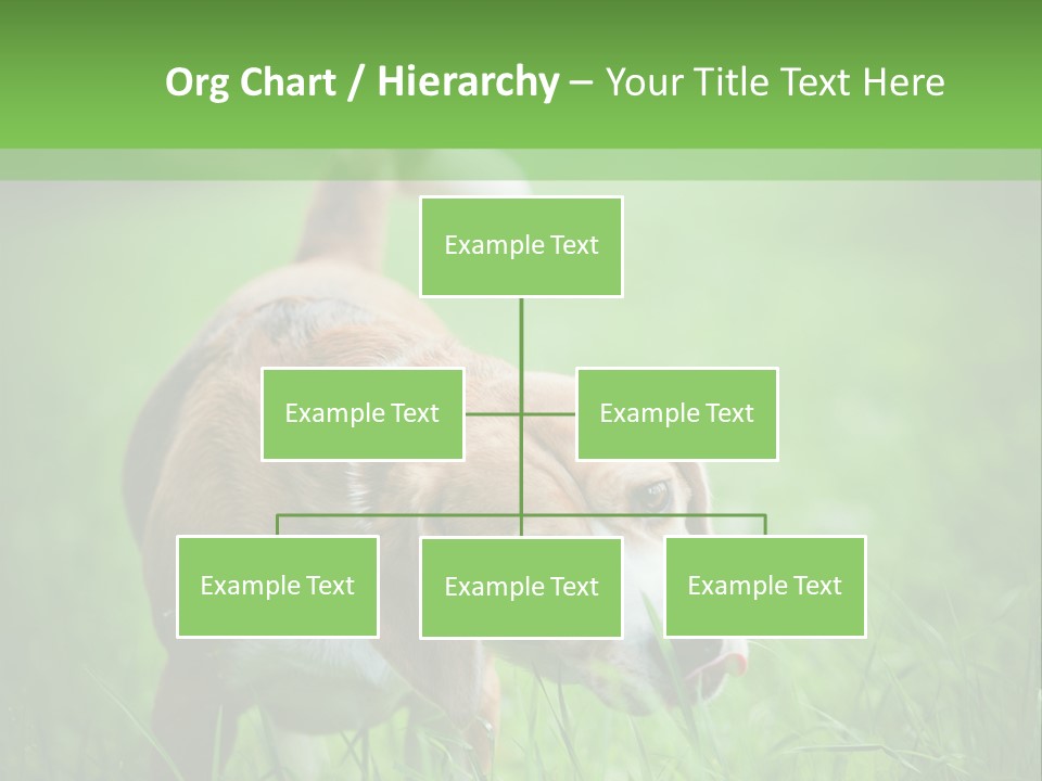 A Dog Is Running Through The Grass With A Frisbee In Its Mouth PowerPoint Template
