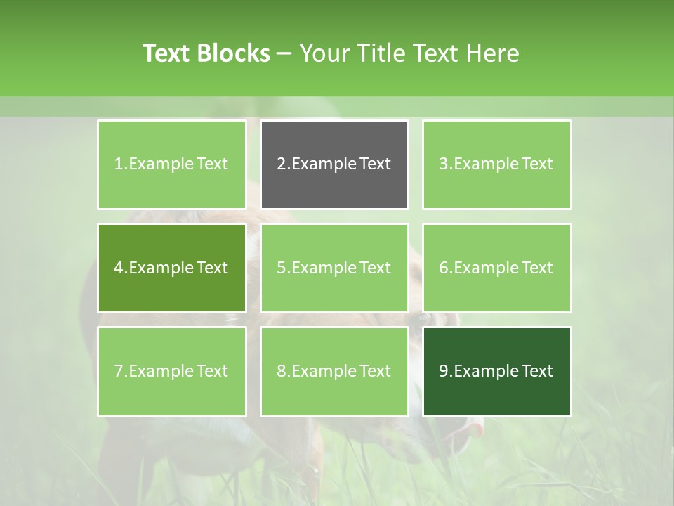 A Dog Is Running Through The Grass With A Frisbee In Its Mouth PowerPoint Template