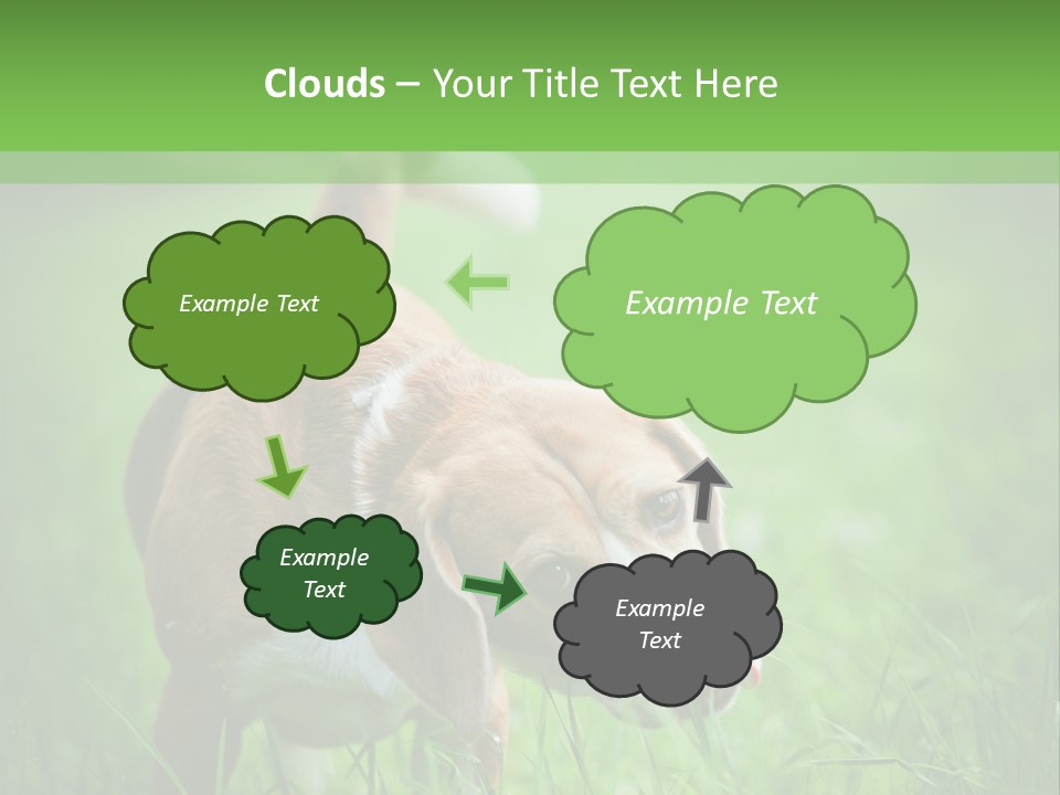 A Dog Is Running Through The Grass With A Frisbee In Its Mouth PowerPoint Template