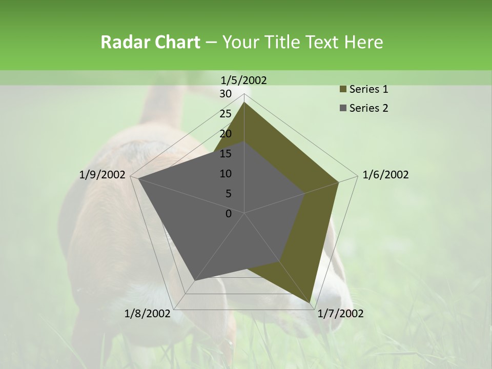 A Dog Is Running Through The Grass With A Frisbee In Its Mouth PowerPoint Template