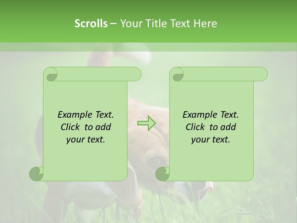 A Dog Is Running Through The Grass With A Frisbee In Its Mouth PowerPoint Template