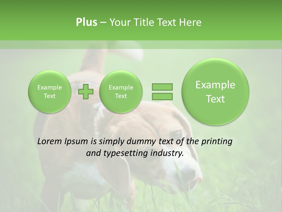 A Dog Is Running Through The Grass With A Frisbee In Its Mouth PowerPoint Template