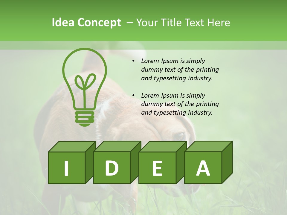 A Dog Is Running Through The Grass With A Frisbee In Its Mouth PowerPoint Template