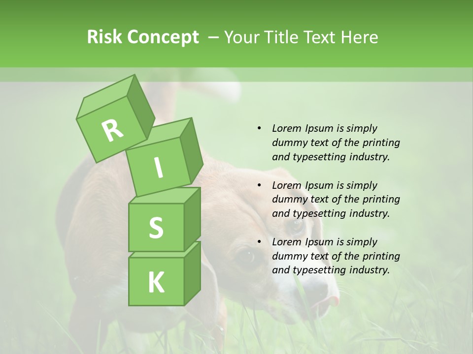 A Dog Is Running Through The Grass With A Frisbee In Its Mouth PowerPoint Template