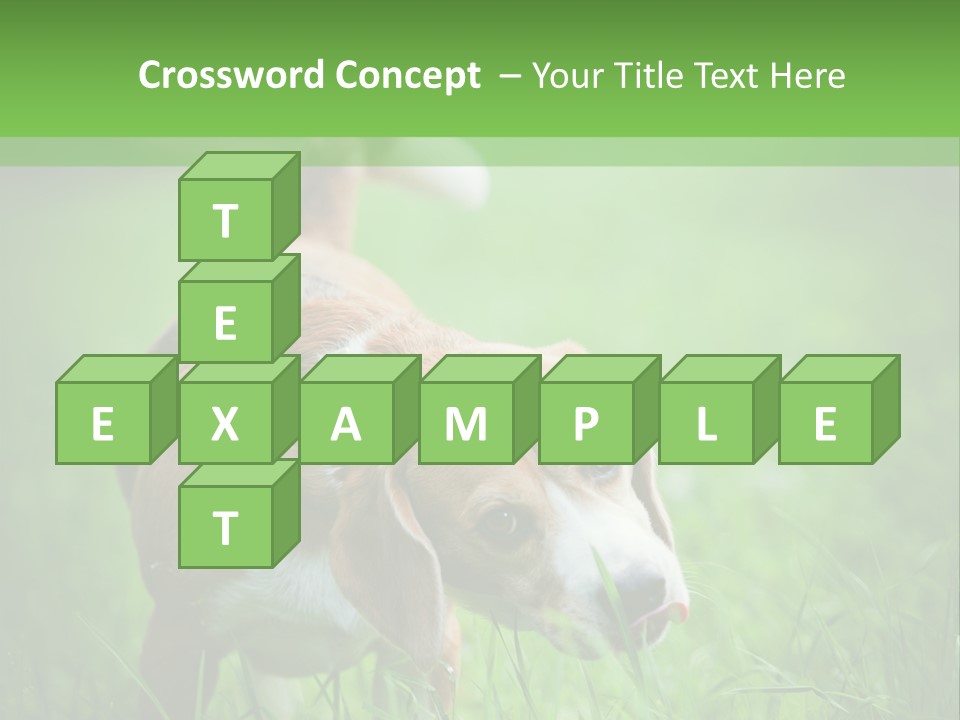 A Dog Is Running Through The Grass With A Frisbee In Its Mouth PowerPoint Template