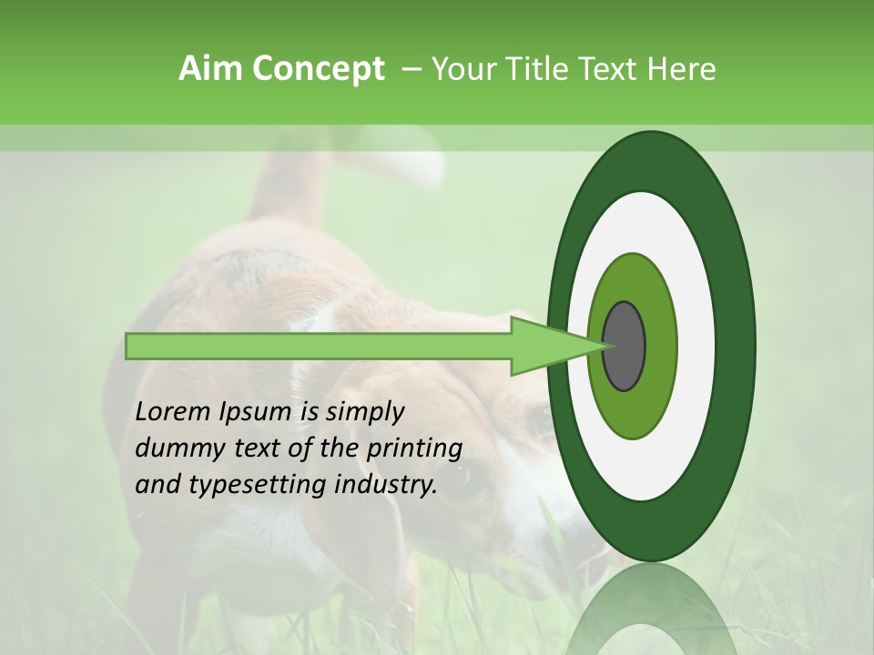 A Dog Is Running Through The Grass With A Frisbee In Its Mouth PowerPoint Template