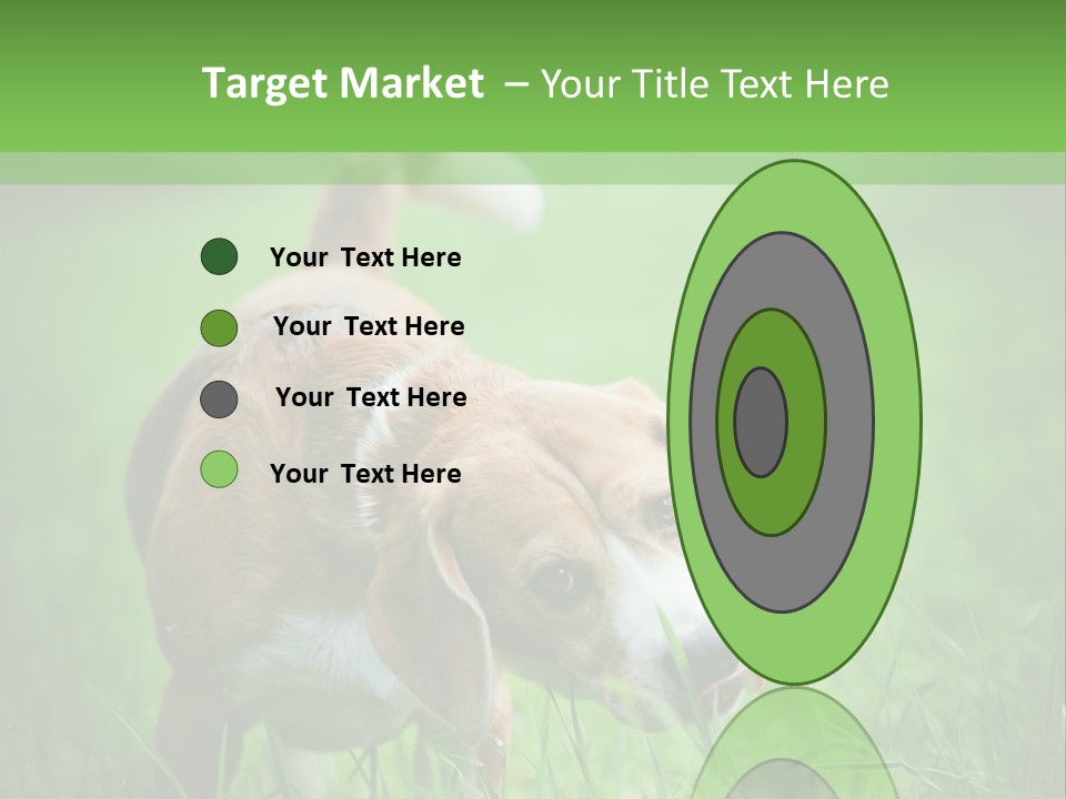 A Dog Is Running Through The Grass With A Frisbee In Its Mouth PowerPoint Template