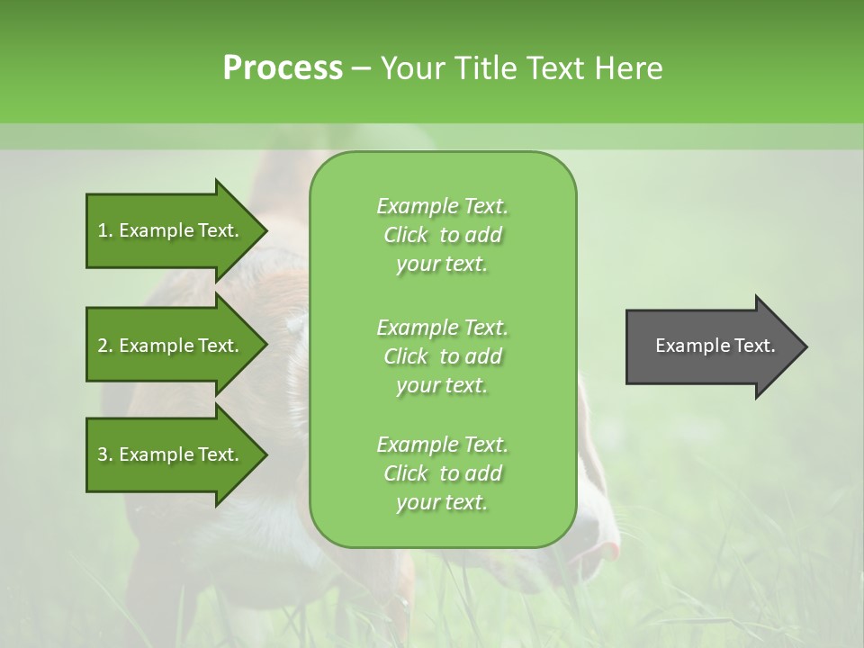A Dog Is Running Through The Grass With A Frisbee In Its Mouth PowerPoint Template