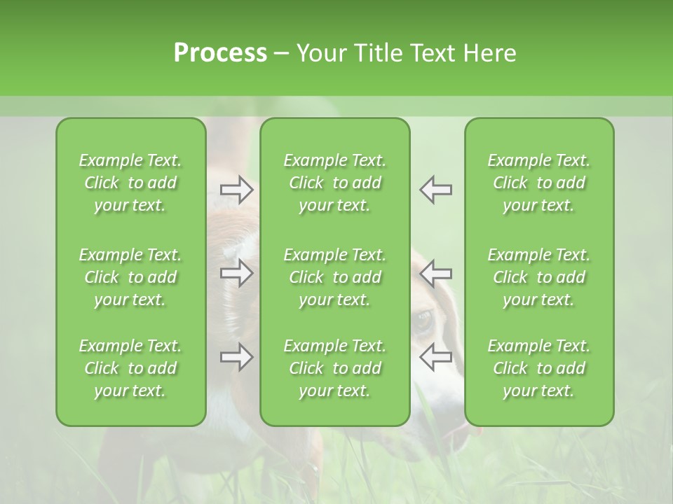 A Dog Is Running Through The Grass With A Frisbee In Its Mouth PowerPoint Template