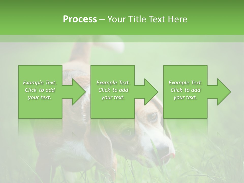 A Dog Is Running Through The Grass With A Frisbee In Its Mouth PowerPoint Template