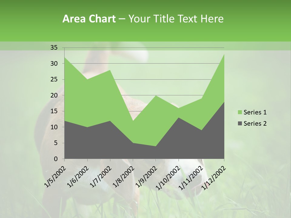 A Dog Is Running Through The Grass With A Frisbee In Its Mouth PowerPoint Template