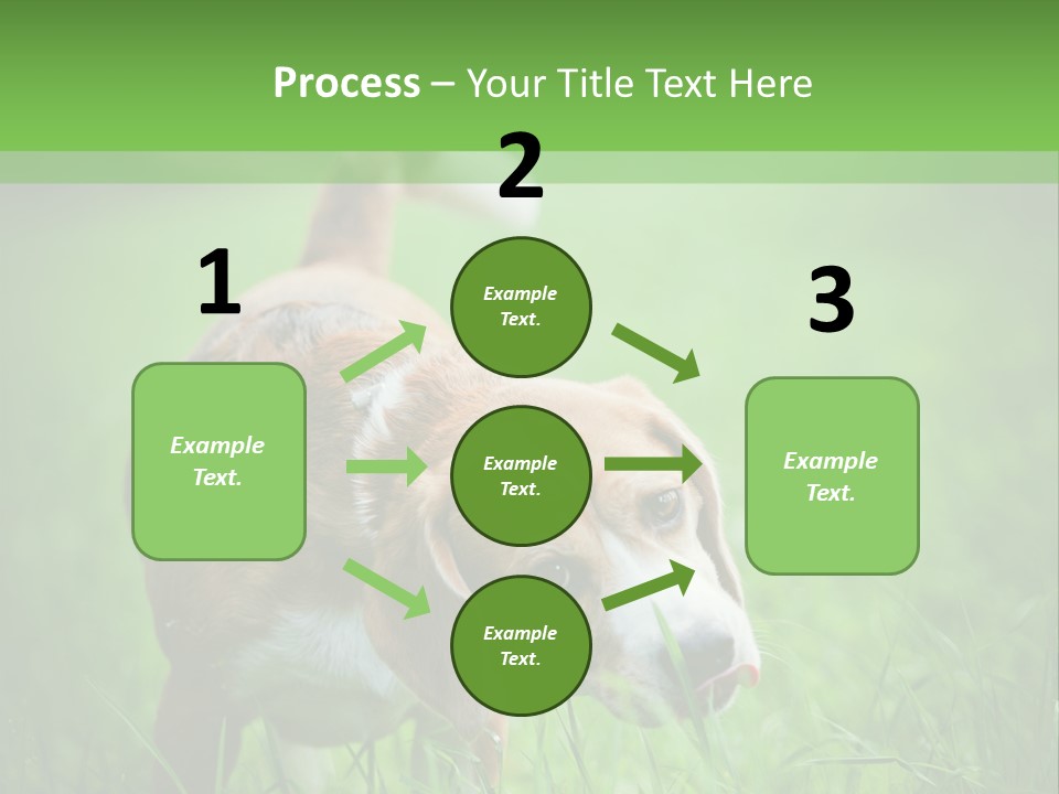A Dog Is Running Through The Grass With A Frisbee In Its Mouth PowerPoint Template