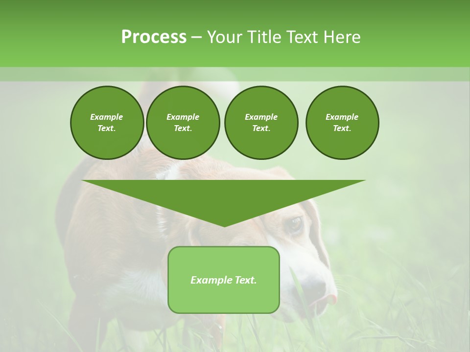A Dog Is Running Through The Grass With A Frisbee In Its Mouth PowerPoint Template