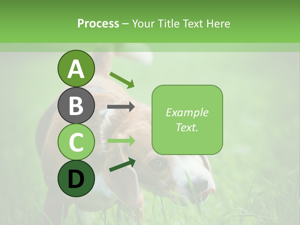 A Dog Is Running Through The Grass With A Frisbee In Its Mouth PowerPoint Template