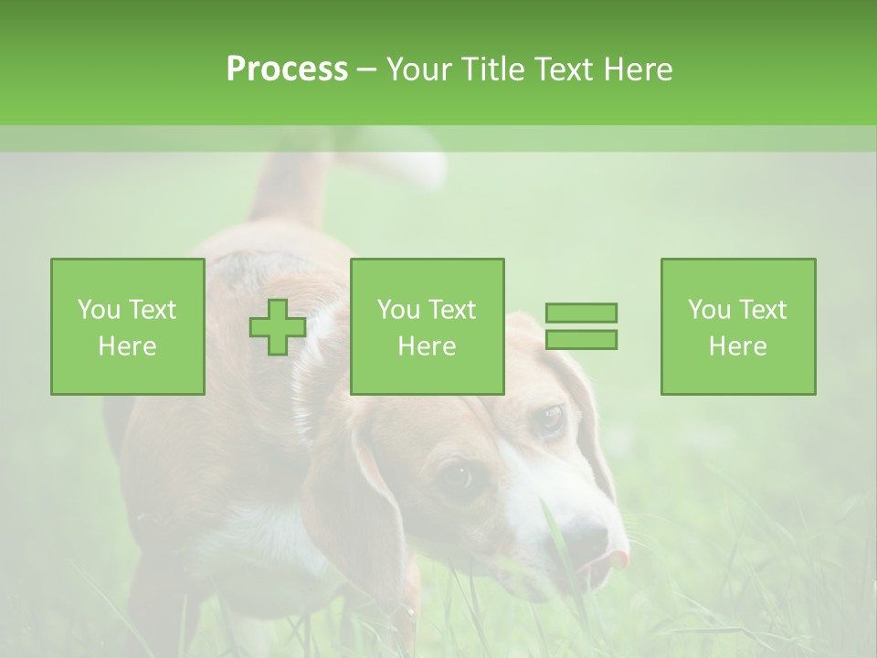 A Dog Is Running Through The Grass With A Frisbee In Its Mouth PowerPoint Template