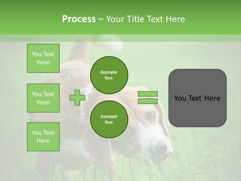 A Dog Is Running Through The Grass With A Frisbee In Its Mouth PowerPoint Template