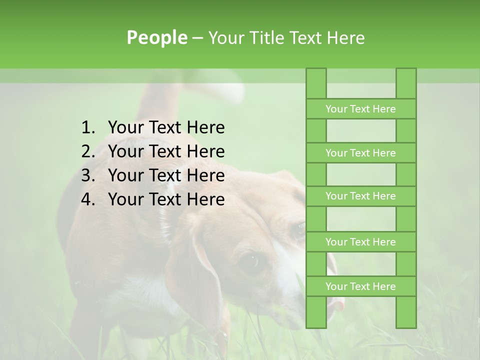 A Dog Is Running Through The Grass With A Frisbee In Its Mouth PowerPoint Template