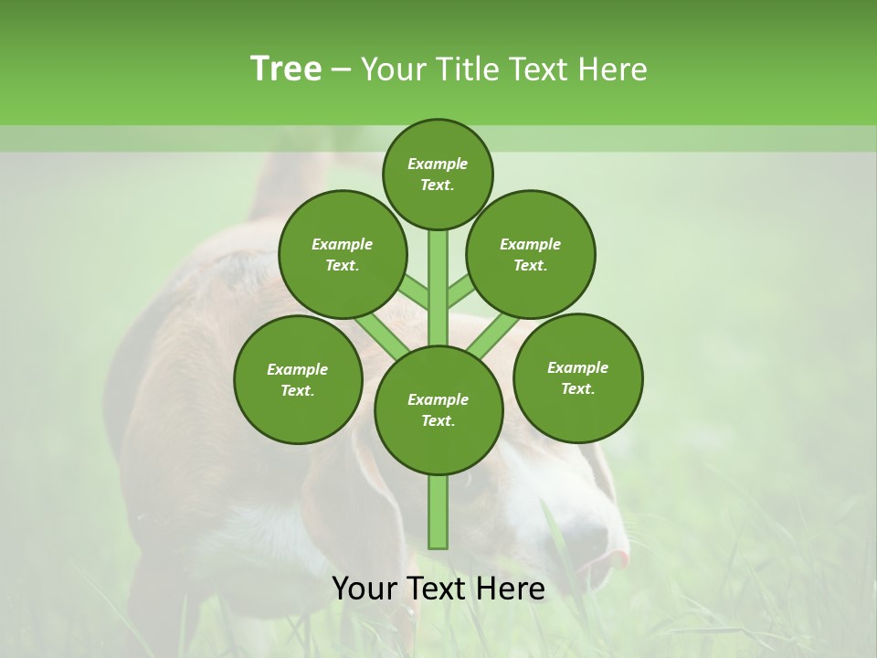 A Dog Is Running Through The Grass With A Frisbee In Its Mouth PowerPoint Template