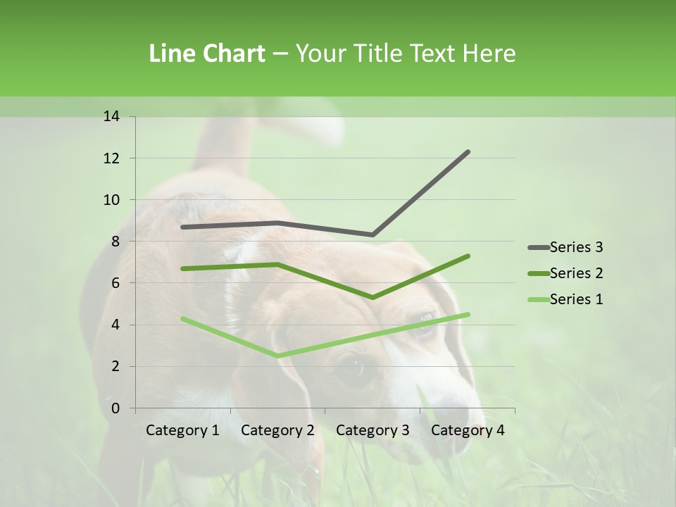 A Dog Is Running Through The Grass With A Frisbee In Its Mouth PowerPoint Template