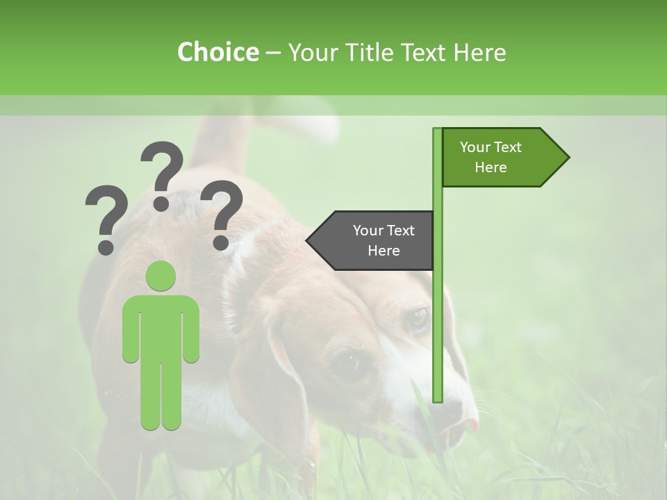 A Dog Is Running Through The Grass With A Frisbee In Its Mouth PowerPoint Template