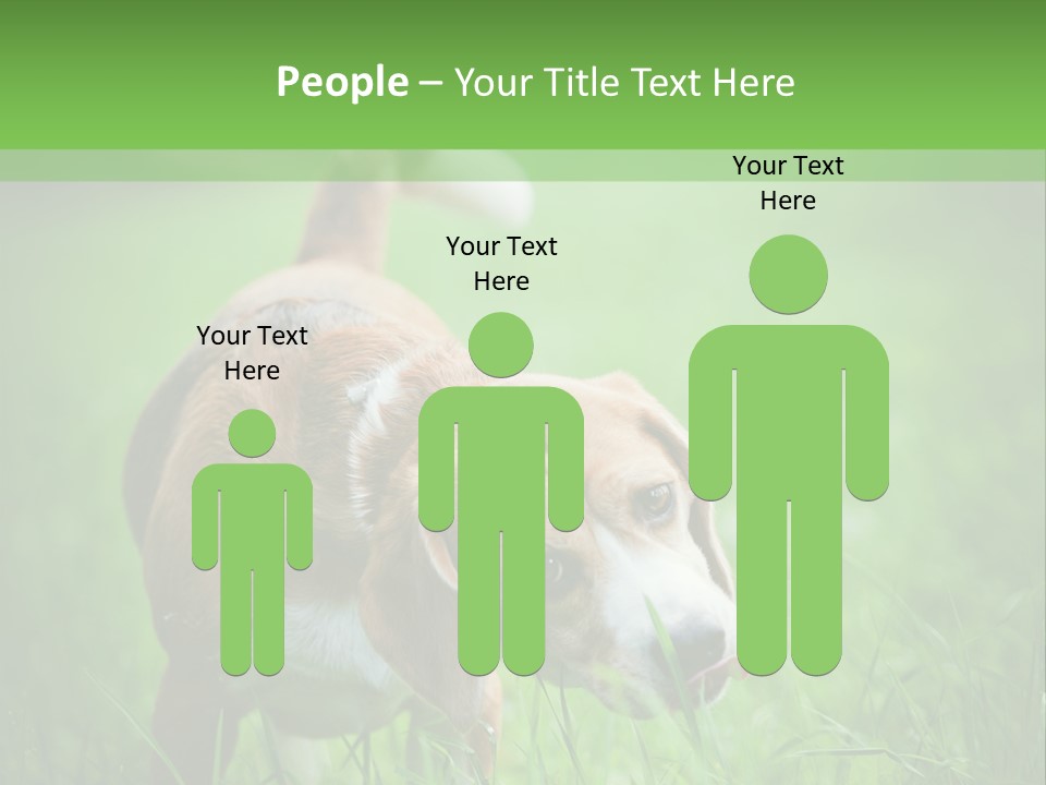 A Dog Is Running Through The Grass With A Frisbee In Its Mouth PowerPoint Template