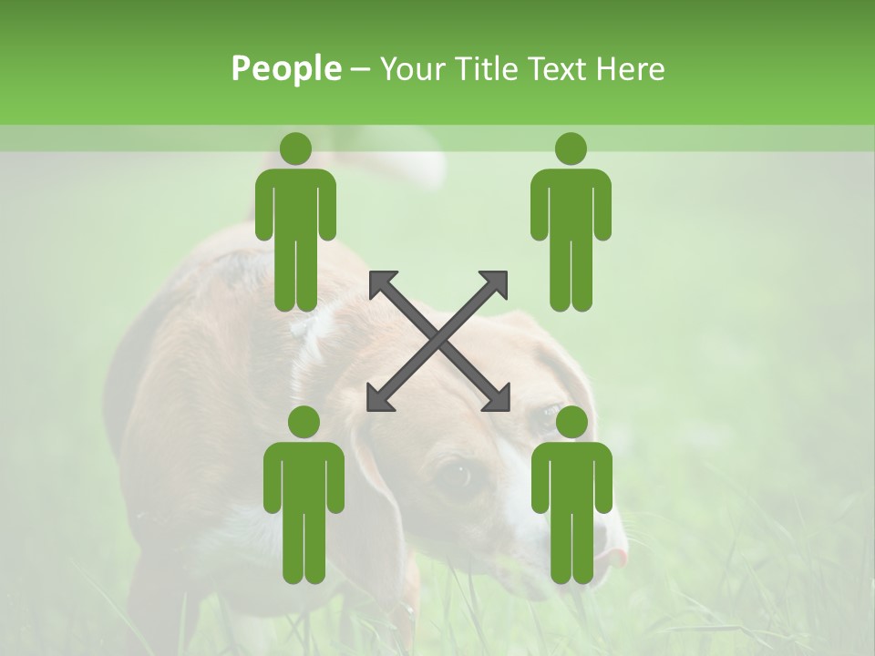 A Dog Is Running Through The Grass With A Frisbee In Its Mouth PowerPoint Template