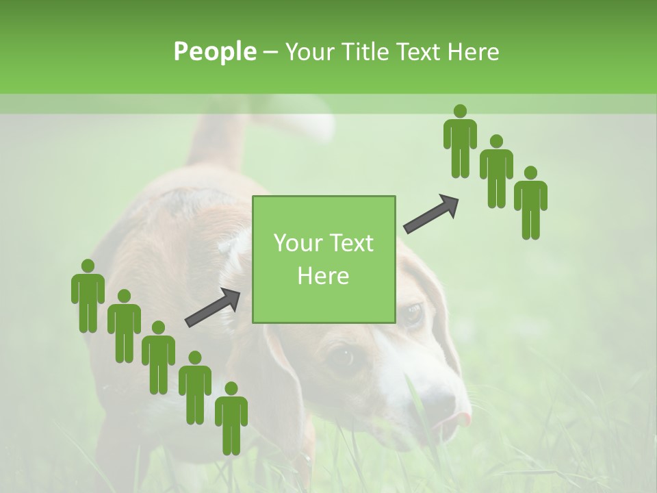 A Dog Is Running Through The Grass With A Frisbee In Its Mouth PowerPoint Template