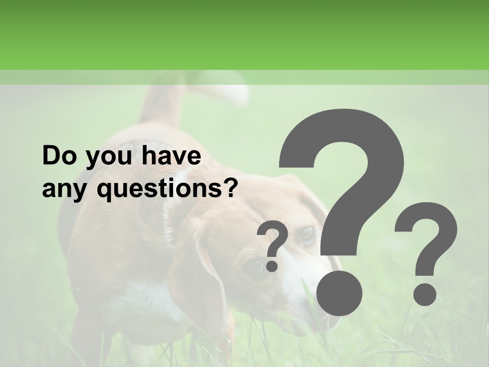 A Dog Is Running Through The Grass With A Frisbee In Its Mouth PowerPoint Template