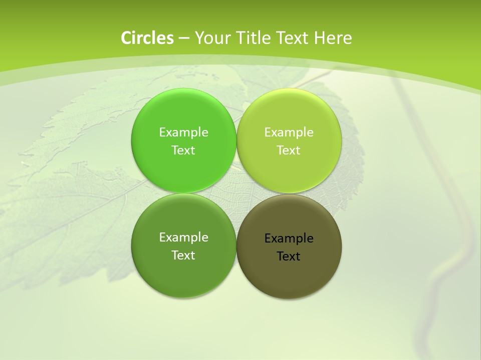 A Green Leaf On A Green Background PowerPoint Template