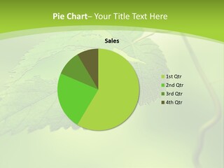 A Green Leaf On A Green Background PowerPoint Template