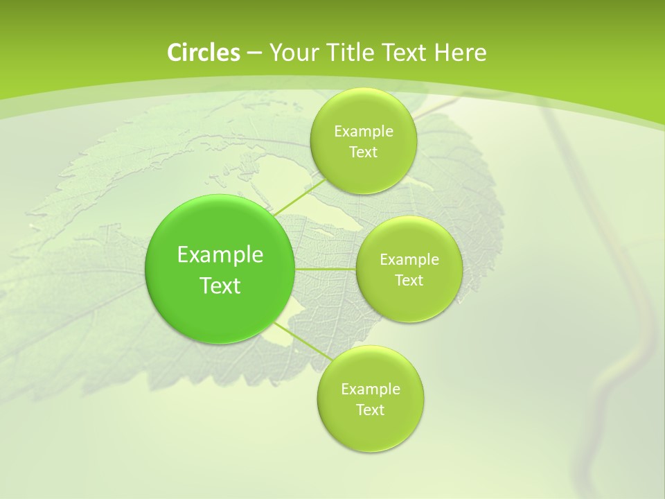 A Green Leaf On A Green Background PowerPoint Template