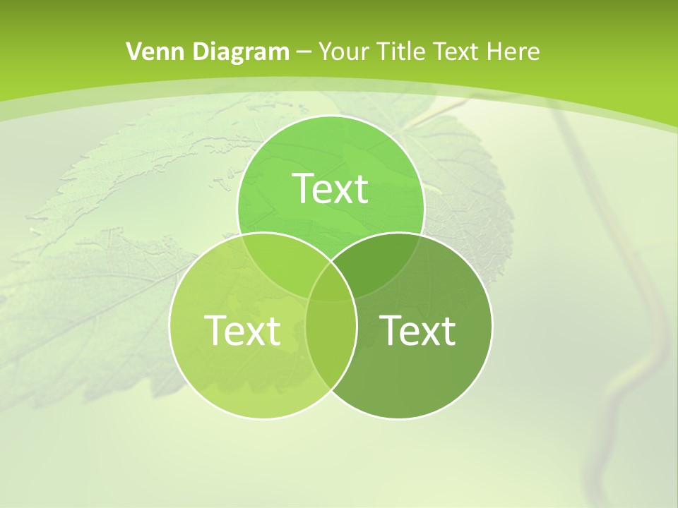 A Green Leaf On A Green Background PowerPoint Template